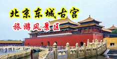 日本少女B毛中国北京-东城古宫旅游风景区